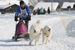 Lenk 2012 SM